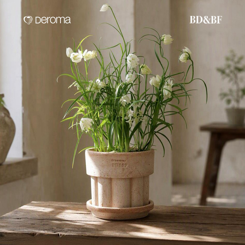 BD&BF|DEROMA26年花盆