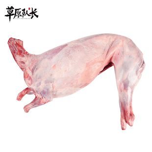 草原队长 全羊整只新鲜内蒙羊肉散养羊蝎子烤全羊年货礼盒 20斤