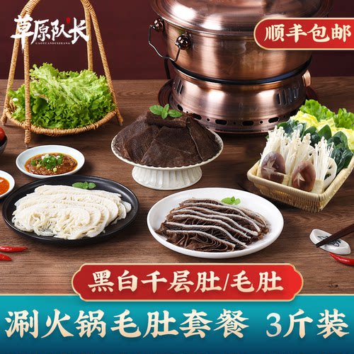 草原队长白千层黑千层百叶