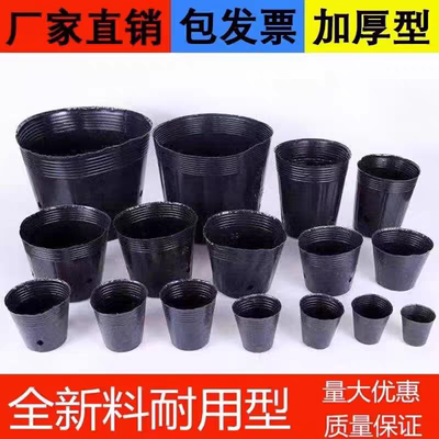 习苗碗迷你花盆特小塑料西瓜种子大花盆树木根营养杯细高筒营养钵