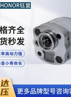 新款台湾HONOR钰盟齿轮泵1KH1N03R 1KH1N0SR 1KH1N01R 1KH1N1包邮