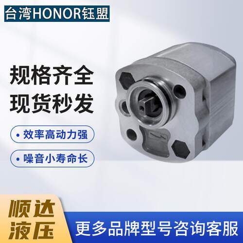 新款台湾HONOR钰盟齿轮泵1KH1N03R 1KH1N0SR 1KH1N01R 1KH1N1包邮