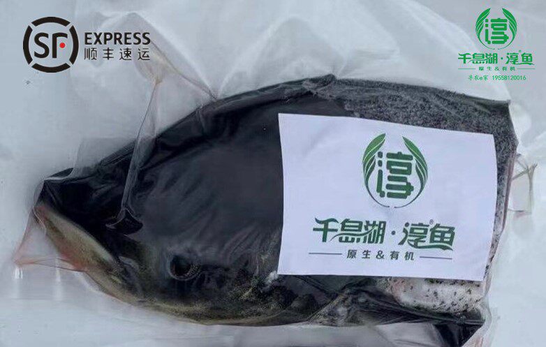 正宗官方千岛湖淳牌有机鱼鳙鱼鲢鱼包头鱼胖头鱼新鲜现杀鱼头顺丰