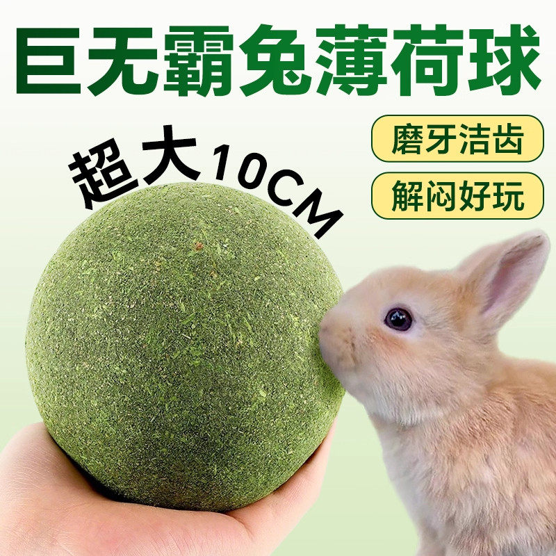 兔子磨牙草球超大号耐啃咬解闷玩具宠物小侏儒兔荷兰猪龙猫的零食