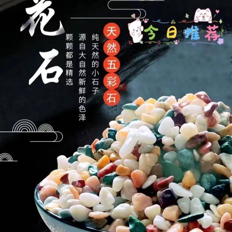 铺在花盆上的石子白玉兰花种花专用铺面石养花彩色小陶粒花雨石