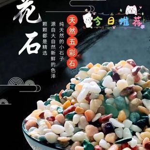 铺在花盆上的石子白玉兰花种花专用铺面石养花彩色小陶粒花雨石