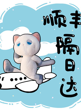 DOOZIE DROWSY-顺丰快递运费补差价