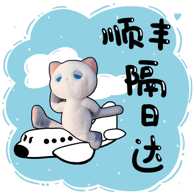 DOOZIE DROWSY-顺丰快递运费补差价