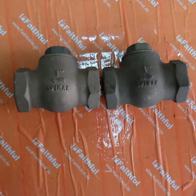 售前询价Spirax Sarco LCV1 1 BSP 斯派莎克全新青铜止回阀 LCV1