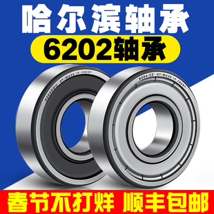 哈尔滨轴承6202ZZ 6202RZ 深沟球滚珠轴承型号大全微型迷你小轴承