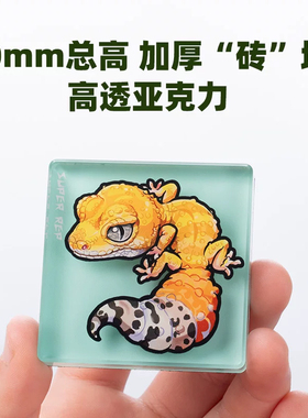 加厚冰箱贴 豹纹守宫主题 亚克力材质磁吸 Q版 卡通爬宠动物周边