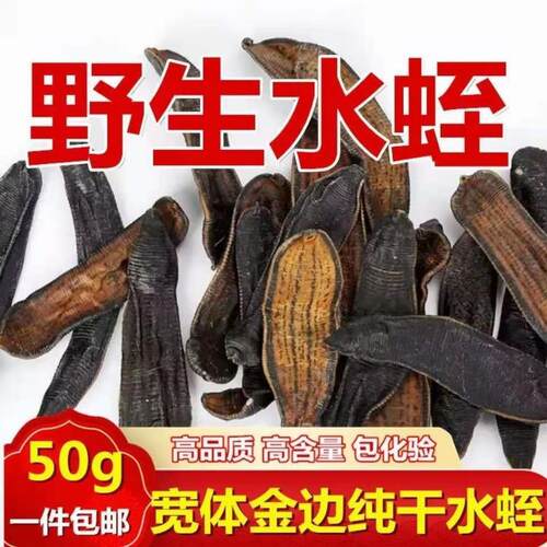 中药材野生水蛭蚂蟥干 清水宽体金线蚂黄水蛭免费磨粉包邮