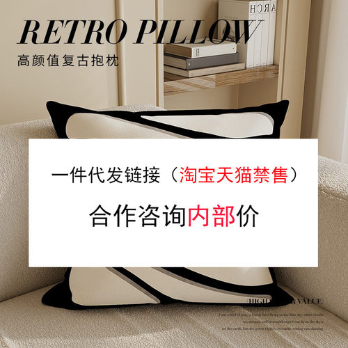 轻奢高级感黑白抽象艺术现代简约抱枕客厅沙发样板间靠枕一件代发