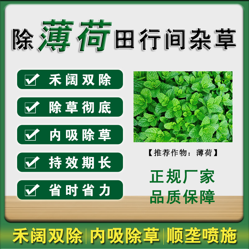 【薄荷专用除草】薄荷苗后除草剂套装禾阔双除广谱不伤苗厂家直销,农用物资,除草剂,淘宝优惠券,粉丝福利购,淘宝优惠卷