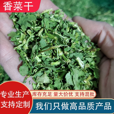 脱水香菜干小包装香菜碎