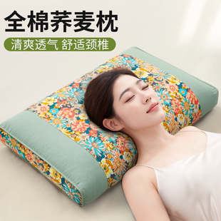 全棉荞麦枕头护颈椎睡觉专用成人助睡眠大号家用荞麦壳枕芯一对硬