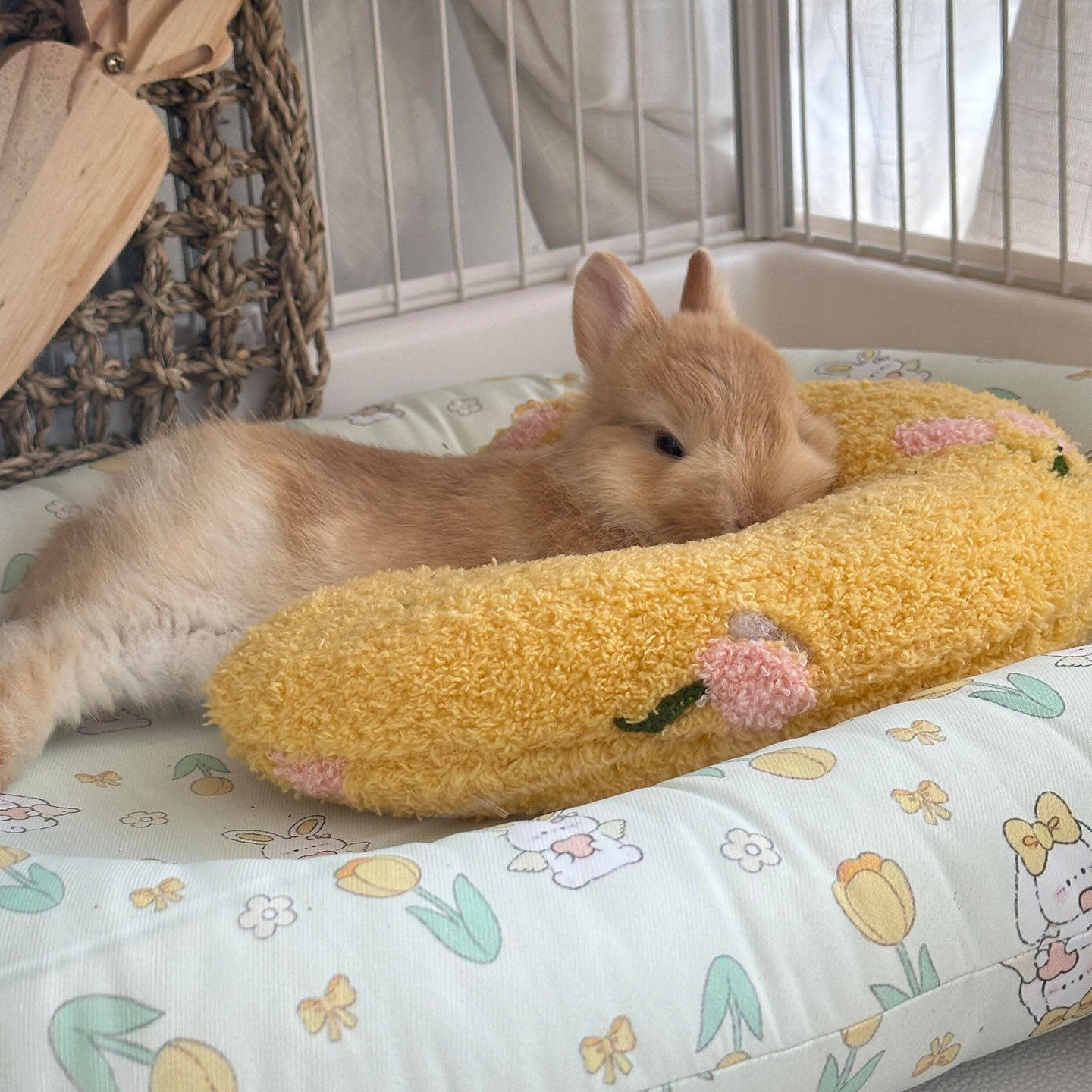 兔兔小枕头u型枕睡觉靠垫子舒适睡眠猫狗宠物用头枕加厚防撕咬,宠物/宠物食品及用品,猫窝/屋/帐篷/沙发,淘宝优惠券,粉丝福利购,淘宝优惠卷