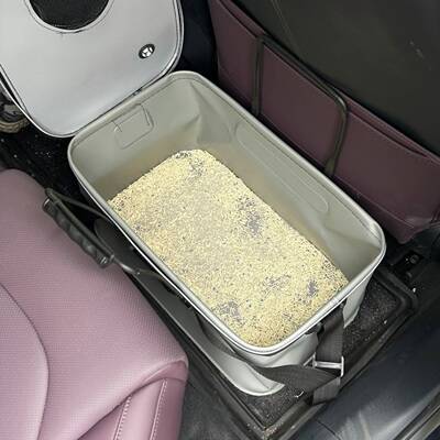 汽车载猫咪猫砂盆猫窝狗窝外出旅行长途舒适便携式可折叠装钓鱼桶