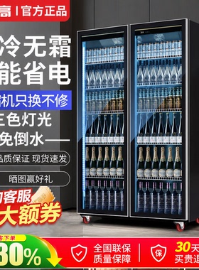 志高饮料展示柜酒水网红啤酒柜