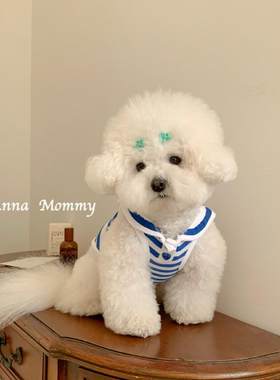 狗狗衣服夏季薄款泰迪比熊博美小型犬宠物猫咪夏季制服背心