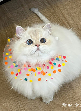 猫咪围脖狗狗可爱口水巾宠物蕾丝围嘴项圈蝴蝶结围巾幼猫脖子饰品