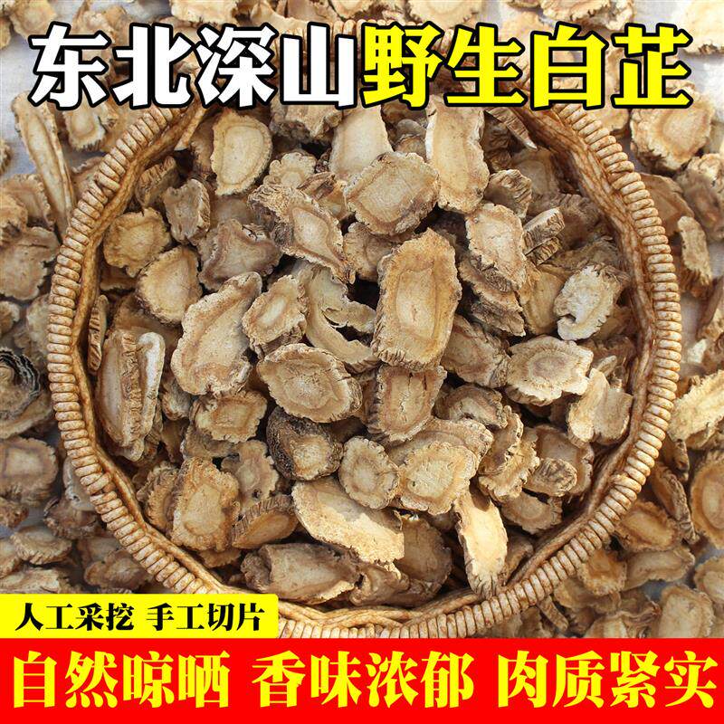 东北野生白芷中药材天然无硫炖肉调料香料特级正品手工精选白芷片
