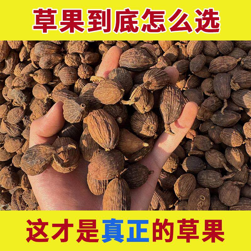 正宗云南怒江特产草果香料调料大全中药材特级新鲜干货野生大草果