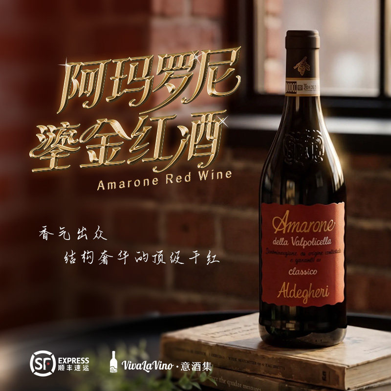 意酒集 意大利原瓶进口阿玛罗尼红酒鎏金礼盒750ml中秋送礼