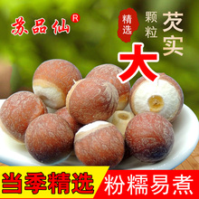 【大粒】新货红芡实鸡头米干货500g包邮欠实茨实苏芡祛湿药用芡实