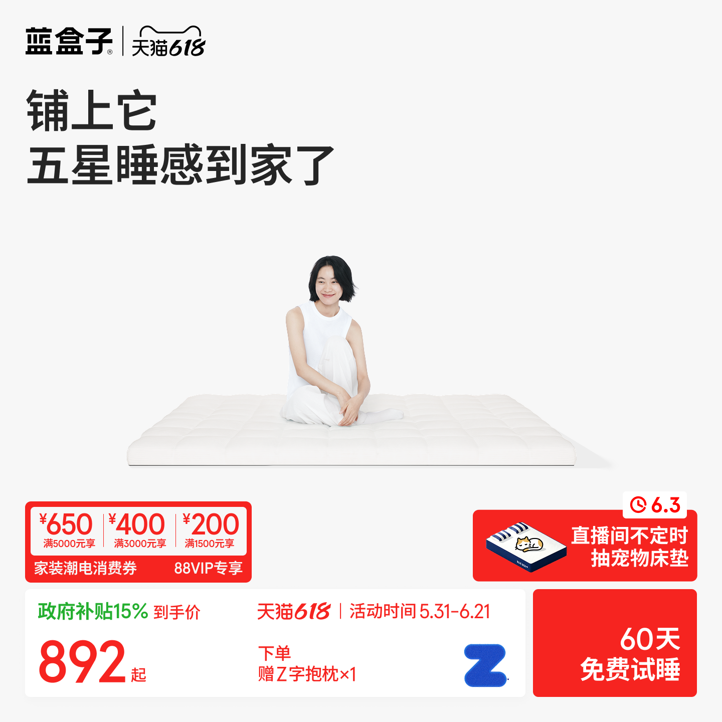 蓝盒子小蓝垫T2Pro记忆棉床垫薄垫家用软垫酒店专用双人榻榻米垫
