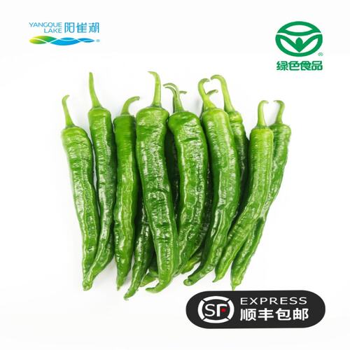 阳雀湖辣椒农家正宗新鲜青椒