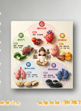 五脏喜好卡通科普亚克力冰箱贴中医养生知识家居平面磁吸中医知识