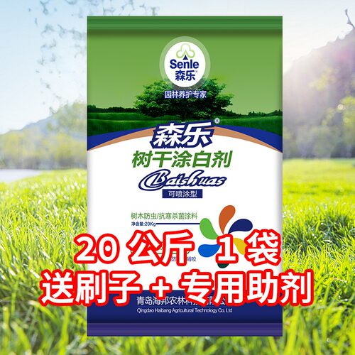 树木刷白园林冬季驱虫抗寒
