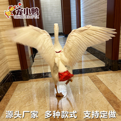 大鹅尿不湿纸尿裤小鸭子尿裤防拉屎兜屁粪兜尿片鸡鹅拉拉裤柯尔鸭