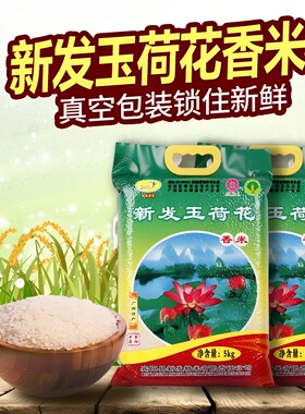广西新发玉荷花大米当季新米晚稻5kg煲仔饭软糯荷花牌长粒米10斤