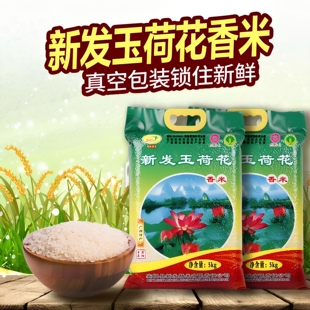 广西新发玉荷花大米当季新米晚稻5kg煲仔饭软糯荷花牌长粒米10斤