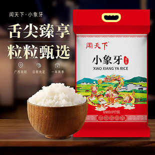 广西闻天下象牙米10斤宾阳长粒软香煲仔饭专用家庭煮饭大米真空装