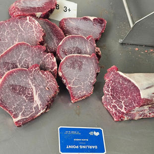 澳洲1265厂M3+蓝凤凰牛柳菲力牛排安格斯谷饲150天去骨牛里脊原切