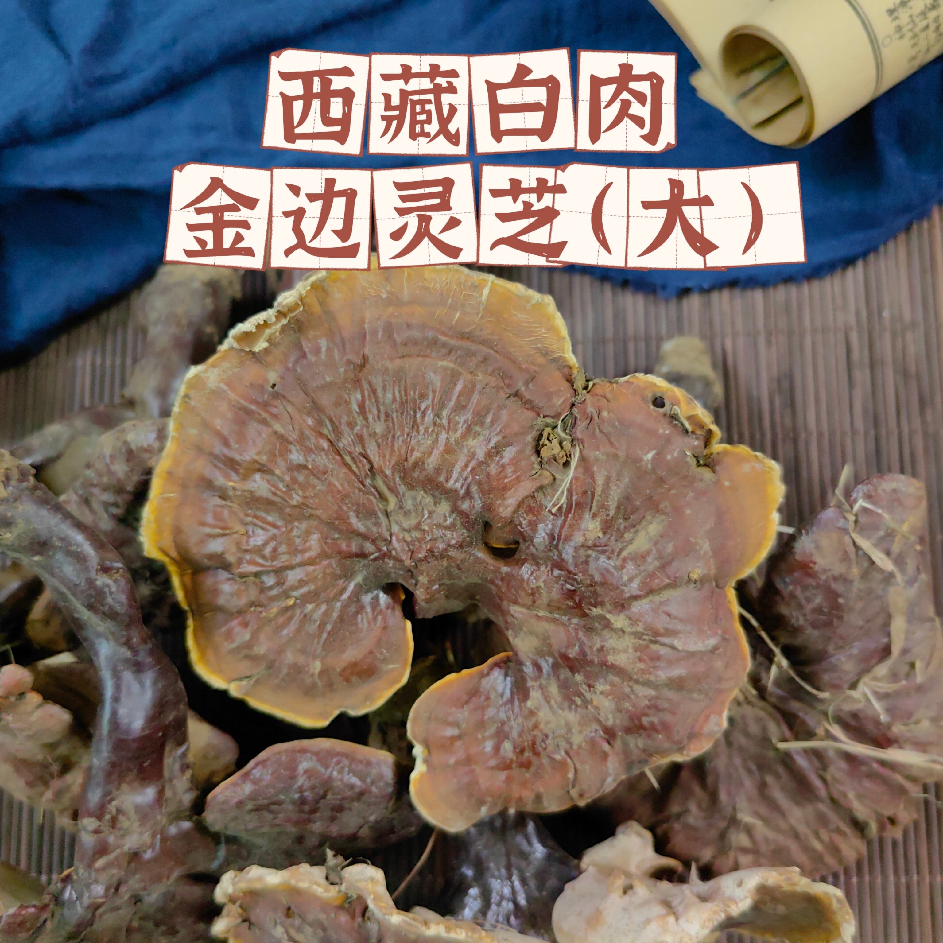 天然野生西藏白肉金边灵芝赤灵芝味甘泡煮水煲汤料泡酒养生茶500g