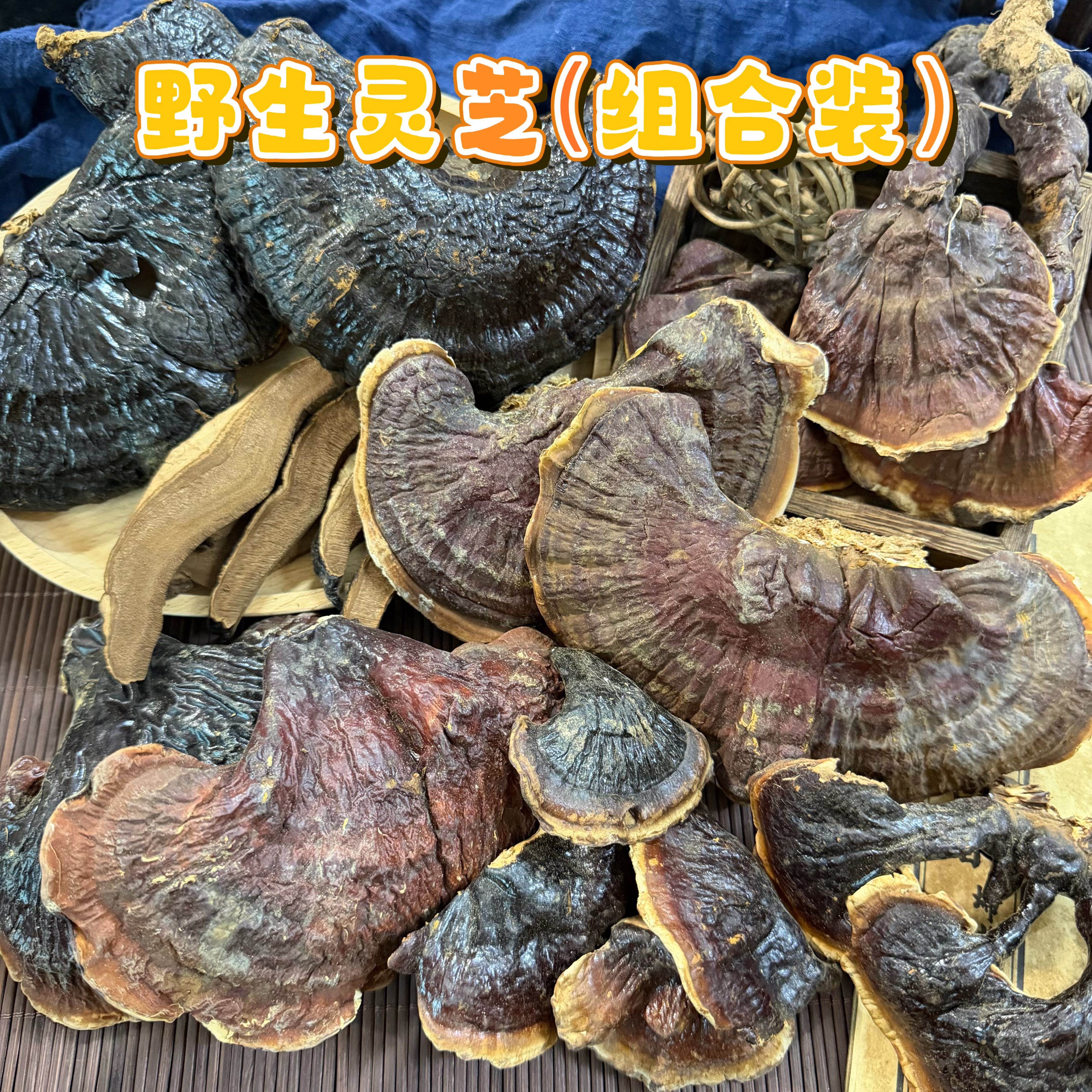【多款组合】西藏野生金边灵芝黑灵芝松杉灵芝白肉灵芝少分量