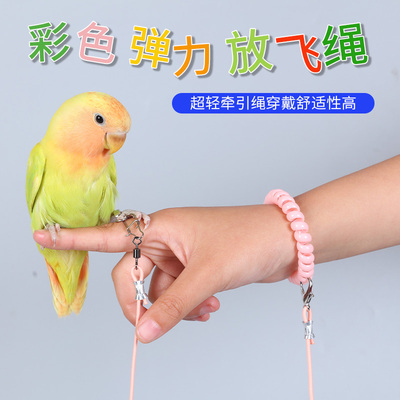 超轻放飞绳小太阳和尚鹦鹉户外遛鸟牵引弹力绳不伤脚训练绳玄凤