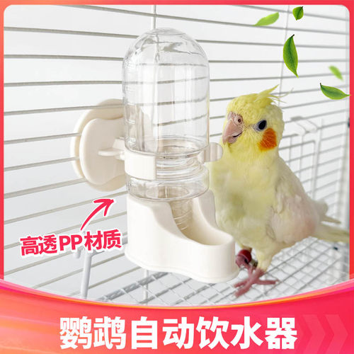 鸟类喂水器自动便捷卫生易清洁颜值高饮水器虎皮鹦鹉喝水鸟笼配件