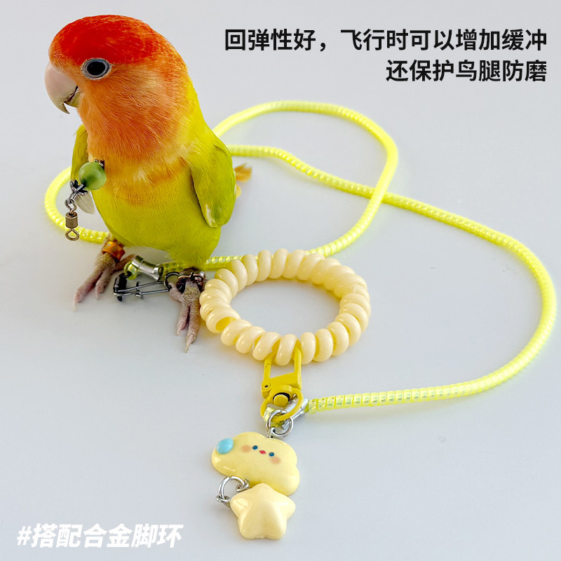 鹦鹉放飞绳不伤脚玄凤虎皮小太阳外出专用伸缩牵引绳户外遛鸟神器,宠物/宠物食品及用品,鸟用放飞绳,淘宝优惠券,粉丝福利购,淘宝优惠卷