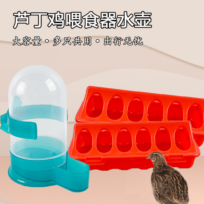 小鸟饮水器多只芦丁鸡喂食器