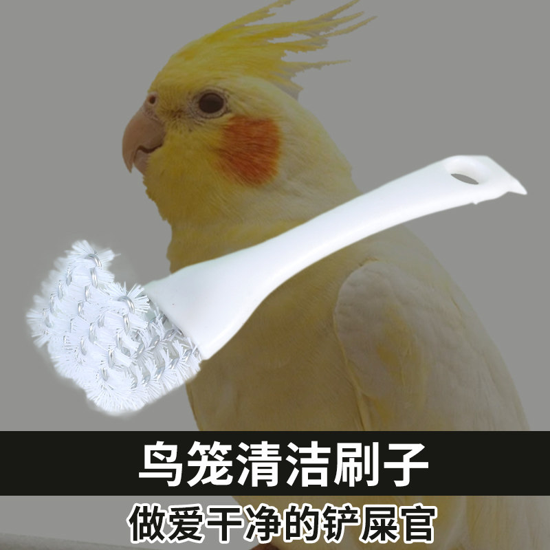 多功能鹦鹉笼清洁神器清理擦笼子鸟用品鸟笼清洁刷子清洗粪便铲子