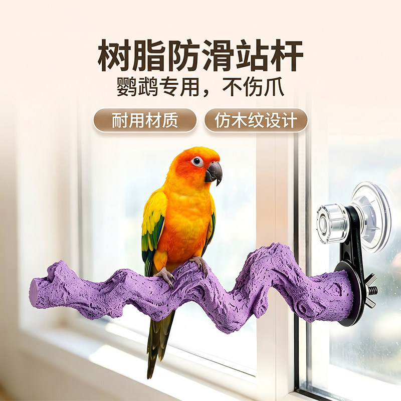 鹦鹉鸟类站杆吸盘式车窗玻璃栖架鹦鹉虎皮牡丹吸盘磨爪两用站杆