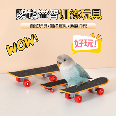 虎皮牡丹玄凤训鸟技能用具鹦鹉训练玩具用品益智表演滑板车道具