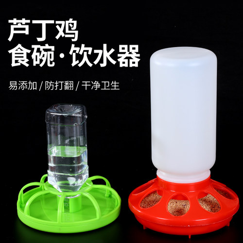 芦丁鸡多孔喂食器自动饮水器