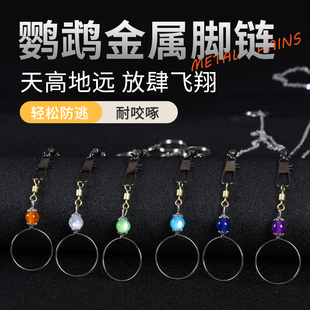 鹦鹉玄凤牡丹虎皮脖套不锈钢栓鸟链遛鸟放飞训练脖圈带链子绳子