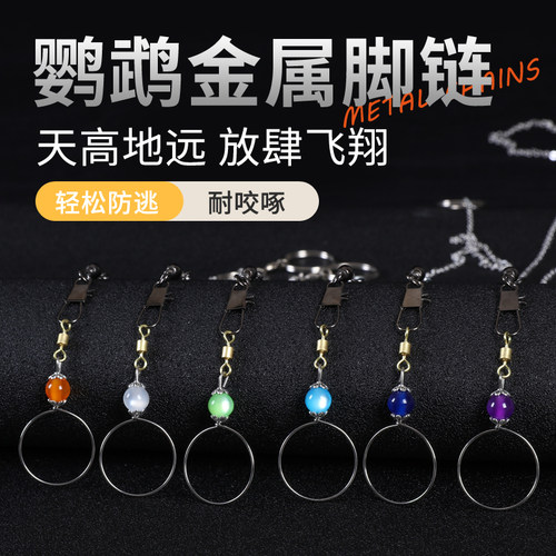 鸟用脖套不锈钢栓鸟链